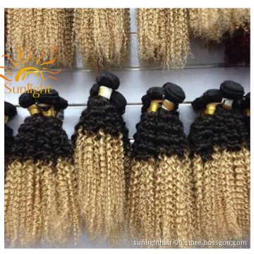 Sunlight 9a virgin hair 1b613 1b27 virgin brazilian/peruvian hair extension Virgin Hair curly bundles with closure